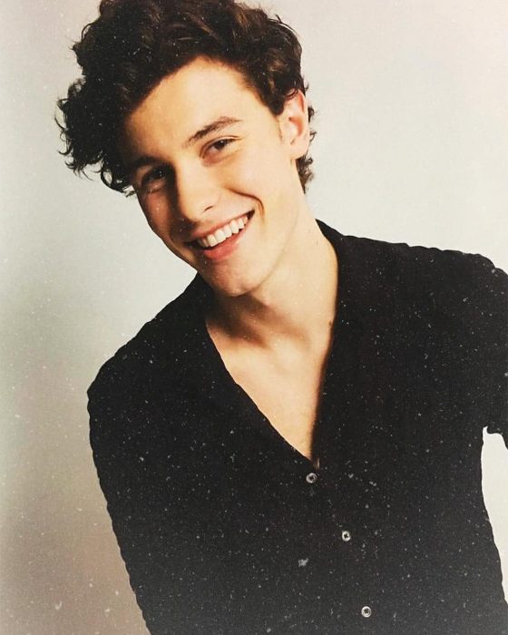 shawn mendes sonrisa perfecta