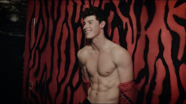 shawn mendes abdomen perfecto