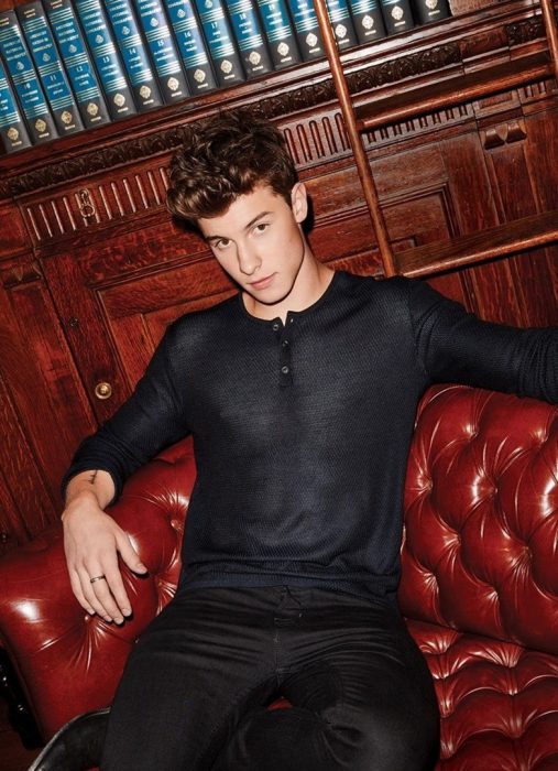 shawn mendes en el sofa rojo 