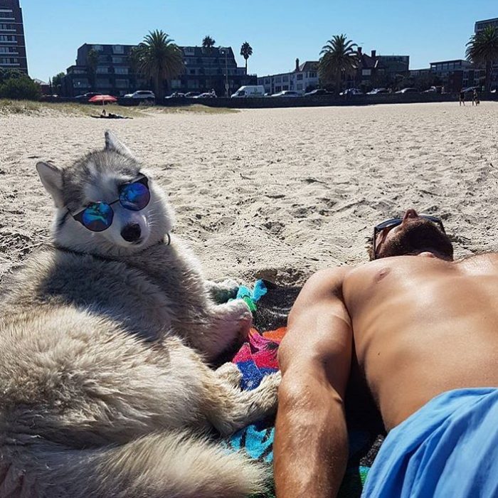 chico paseando con su perro en la playa