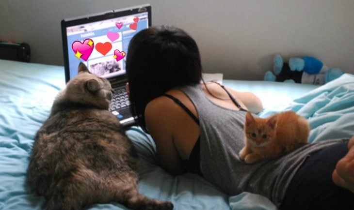 chica en su cama con gatos y computadora