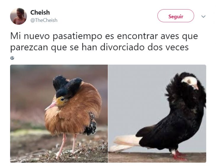 Comentarios en twitter que hacen las mujeres graciosas 