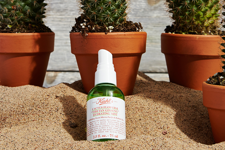 12 Cremas que le harán un favor a tu piel grasa o mixta