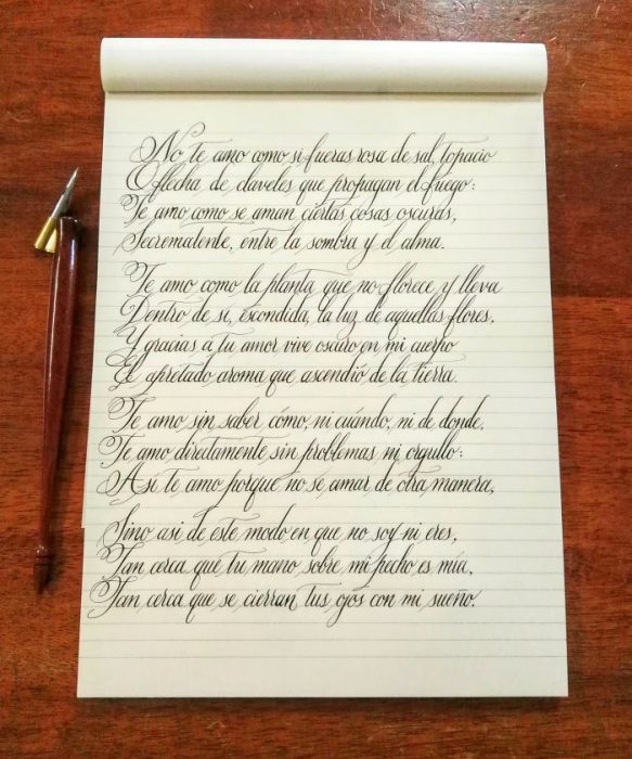 Cuaderno con notas escritas con una caligrafía perfecta 