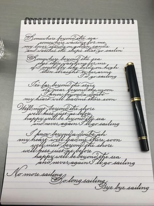 Cuaderno con notas escritas con una caligrafía perfecta 