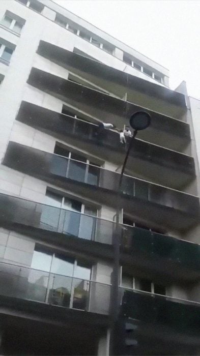 Hombre escalando un balcón para salvar a un niño de caer 