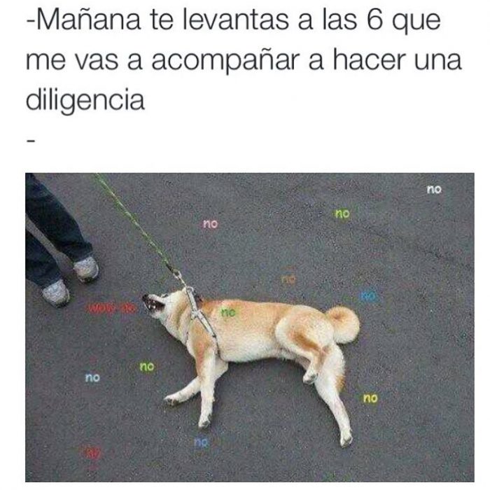 Memes que definen a todas las mamás