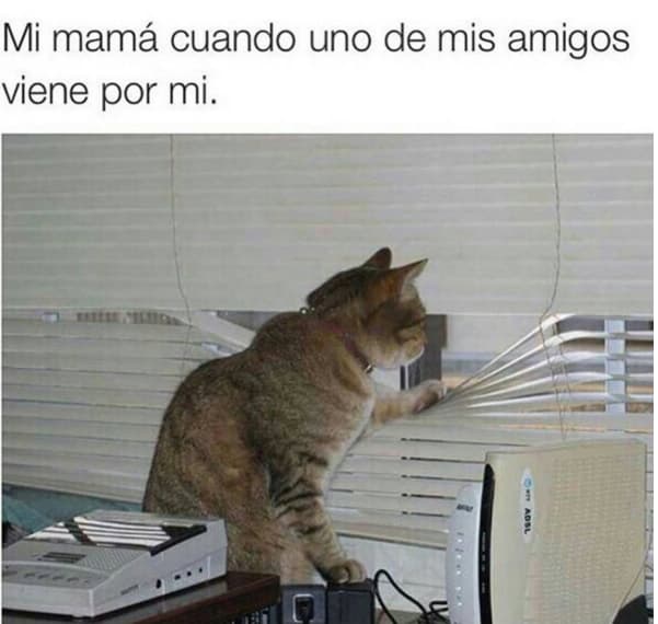 Memes que definen a todas las mamás 