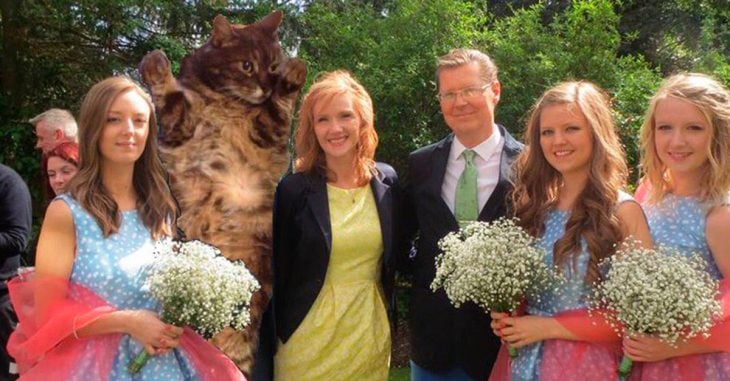 Chica reemplaza a su exnovio en las fotos familiares con su adorado gatito