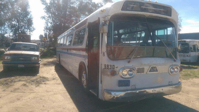 camion blanco con franjas rojas y azules 