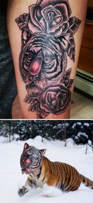 Tatuaje extraño de un tigre de bengala 