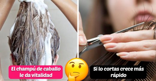 12 Mitos sobre el cabello que siempre habías creído