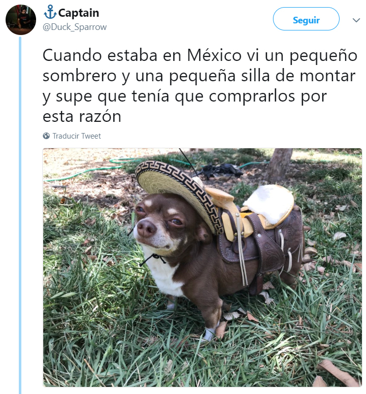 Comentarios en twitter sobre personas que tienen perros 