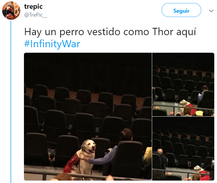 Comentarios en twitter sobre personas que tienen perros 