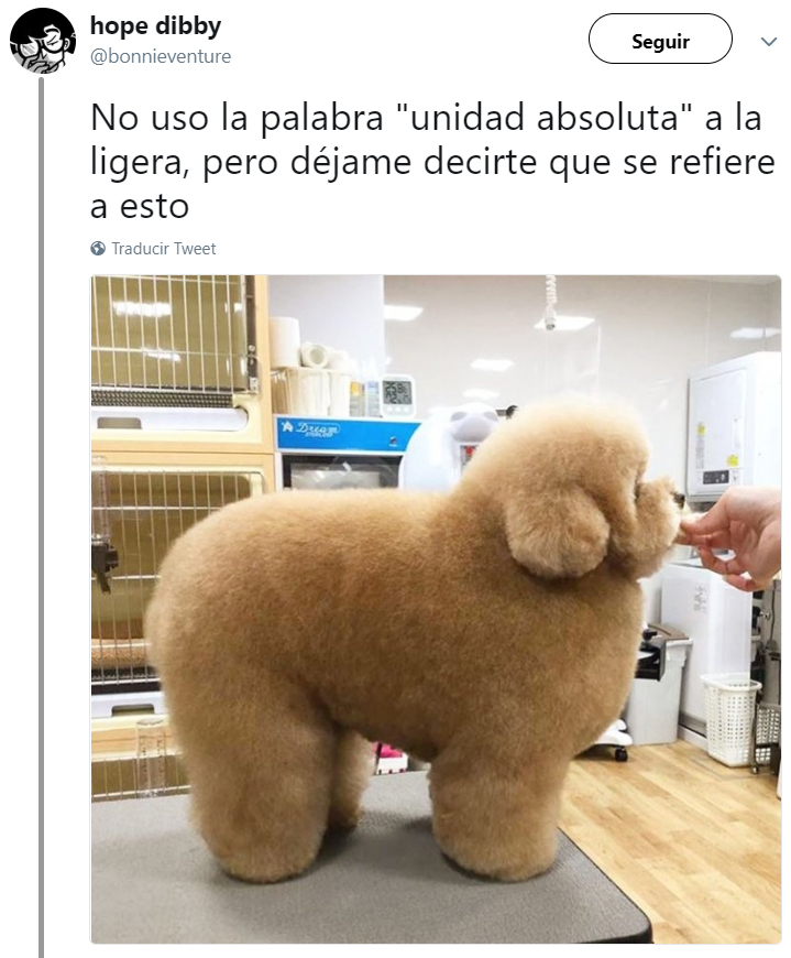 Comentarios en twitter sobre personas que tienen perros 