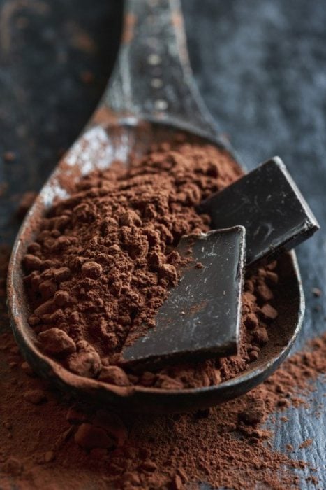 cacao en polvo 