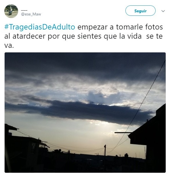 Comentarios en Twitter sobre la vida adulta 