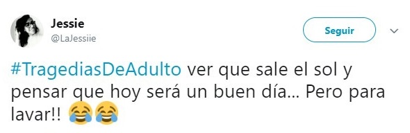 Comentarios en Twitter sobre la vida adulta 