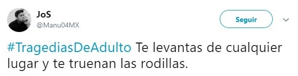 Comentarios en Twitter sobre la vida adulta 