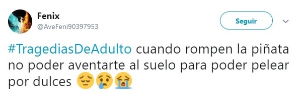 Comentarios en Twitter sobre la vida adulta 