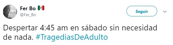 Comentarios en Twitter sobre la vida adulta 