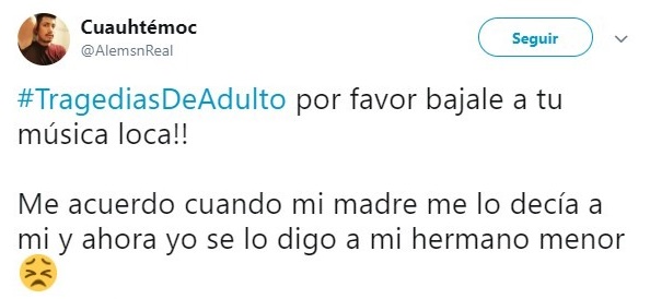 Comentarios en Twitter sobre la vida adulta 