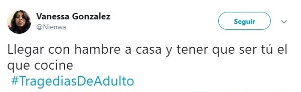 Comentarios en Twitter sobre la vida adulta 