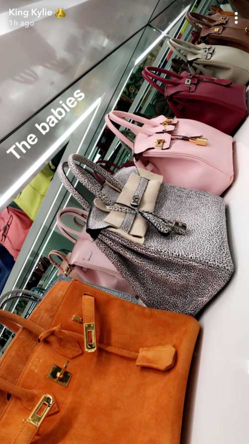 Kylie Jenner mostró su enorme y costosa colección de bolsos