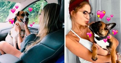 ¡CONFIRMADO! La ciencia afirma que tu mascota se enamora de ti y de la forma más dulce