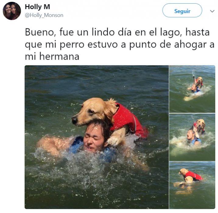 Comentarios en twitter sobre personas que tienen perros 