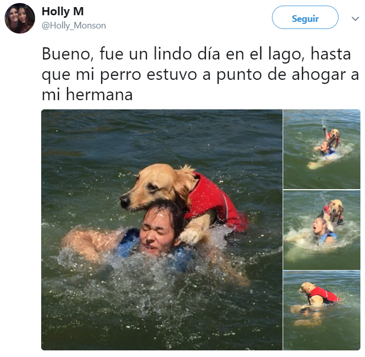 Comentarios en twitter sobre personas que tienen perros 