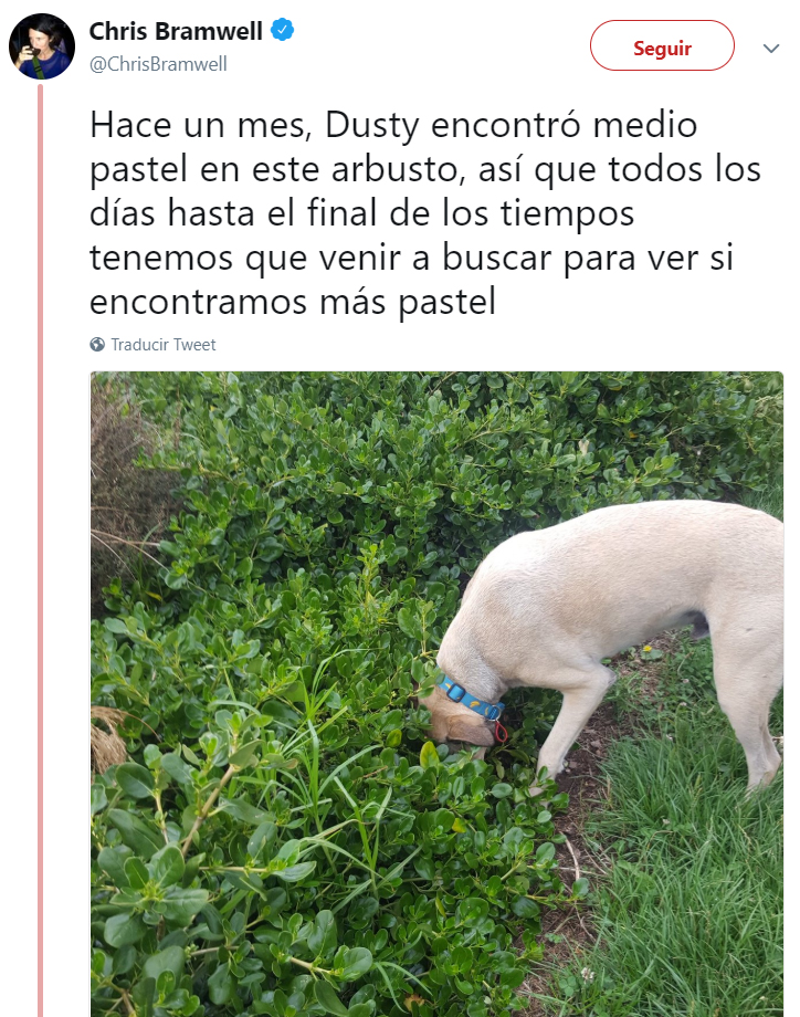 Comentarios en twitter sobre personas que tienen perros 