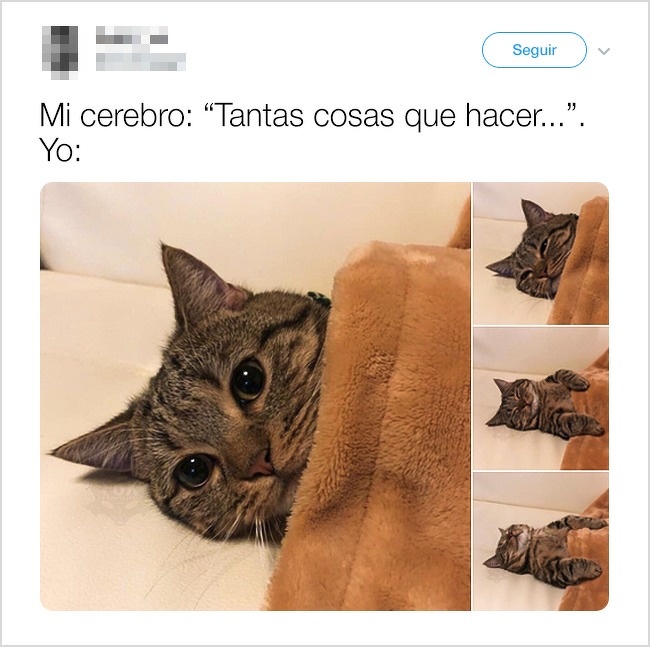 Comentarios en twitter de personas que perdieron el hilo de una historia 