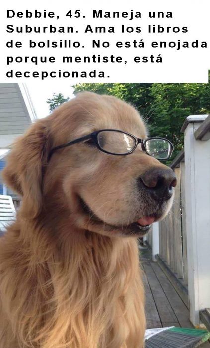 perro labrador con lentes y frase arriba 