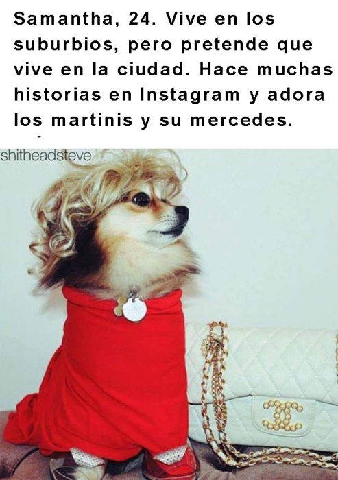 perro con peluca y ropa roja 