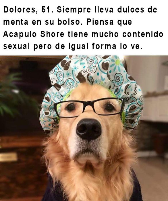 perro con lentes y gorra de baño 