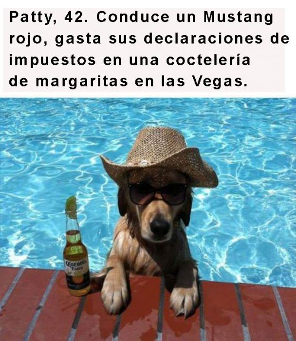 perro con sombrero y cerveza 