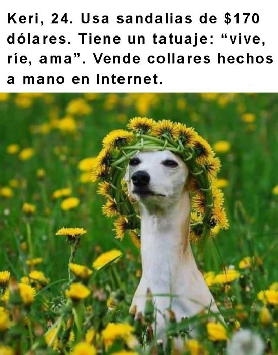 perro con corona de flores y frase arriba 