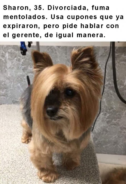 perrito con cabello largo y frase arriba 