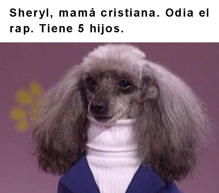 perro con sueter y cuello alto frase arriba 