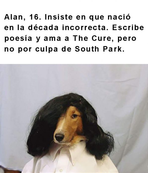 perro con una peluca negra y frase arriba 