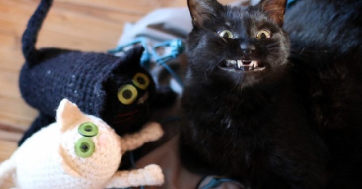 Gato negro sonriendo junto a un juguete de él mismo