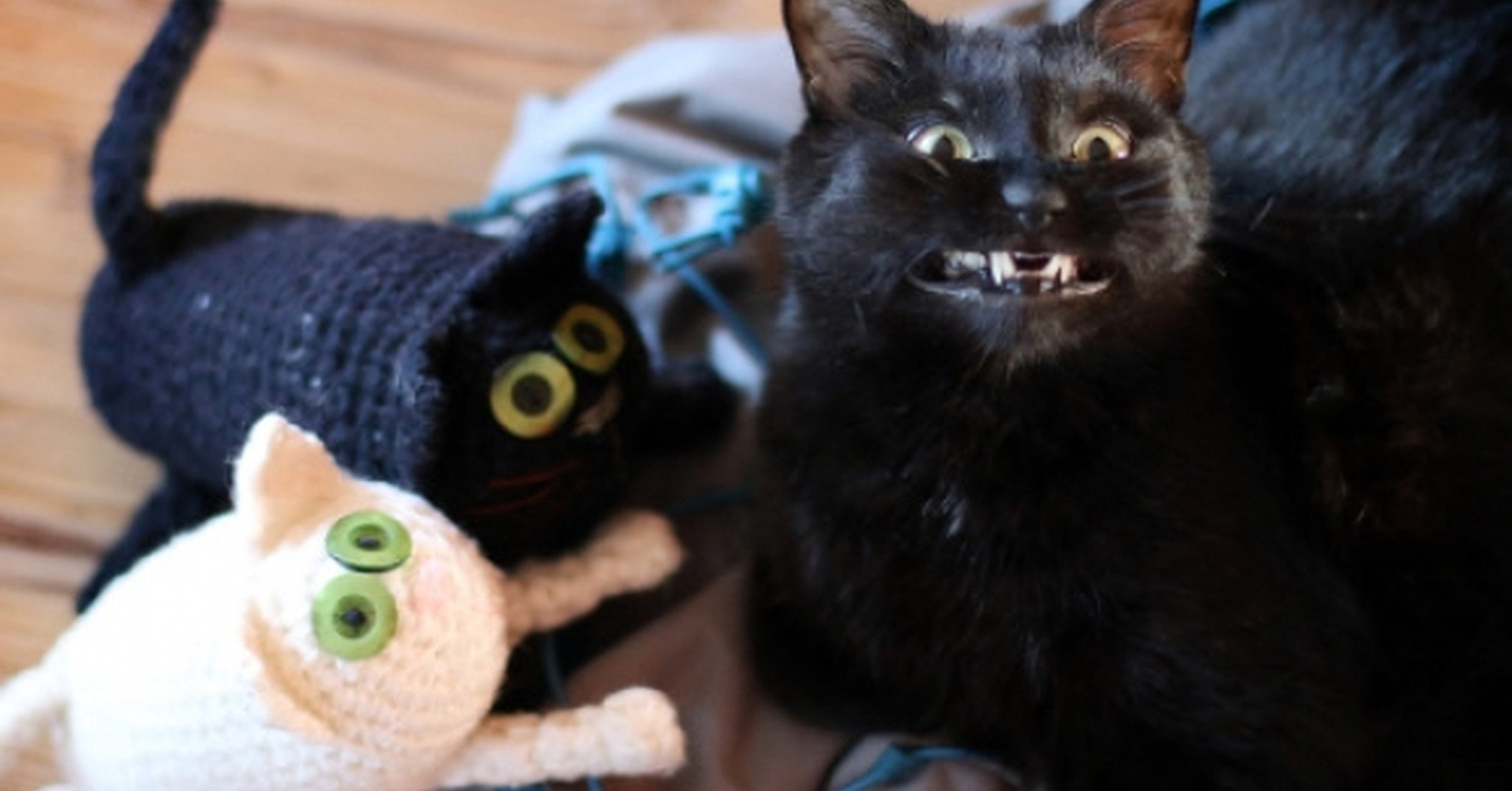 Gato negro sonriendo junto a un juguete de él mismo