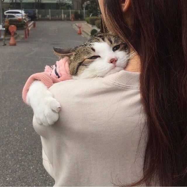 chica cargando un gato 