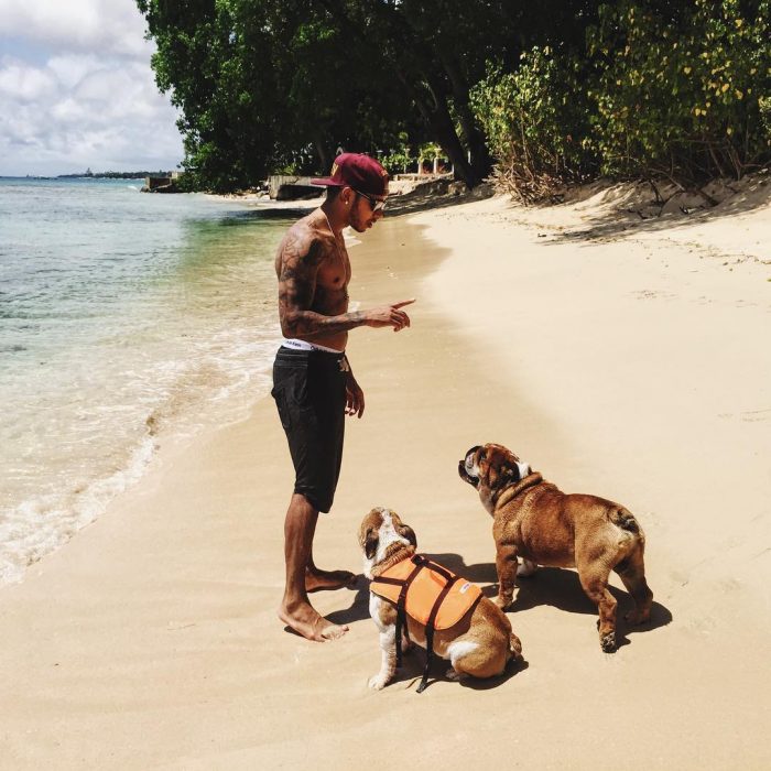 chico paseando en la playa con sus perros 