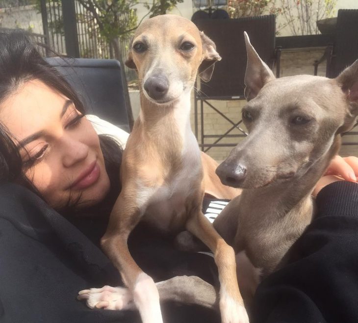 chica jugando con perros 