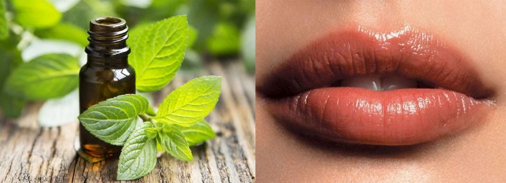 Usa aceite de menta para hacer brillar tus labios