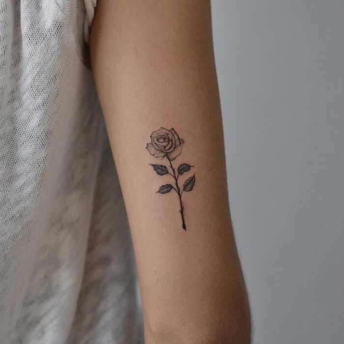 rosas pequeño en el brazo 