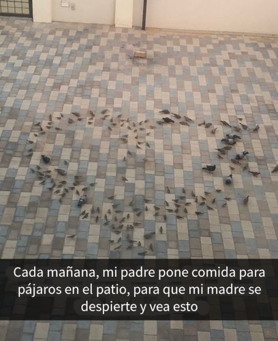 Palomas formando un corazón
