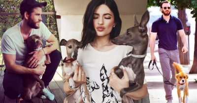 17 Famosos que por NADA se despegan de sus mejores amigos: ¡sus mascotas!